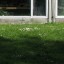 kingsoflawns09/tn_09_IMG_0278.jpg
