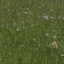 kingsoflawns09/tn_09_IMG_0353.jpg